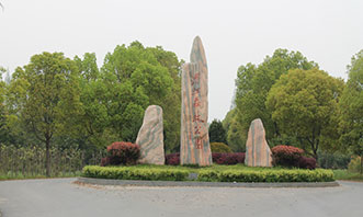 森林公园实景拍摄