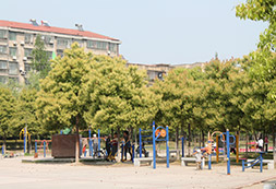 南门河游园实景拍摄