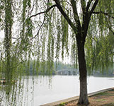 曹禺公园实景拍摄