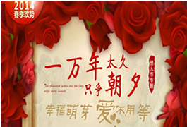 2014春晓行动之情人节专题